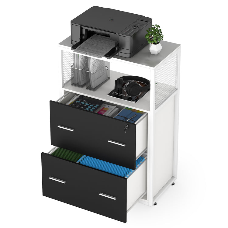 2-Drawer File Cabinet