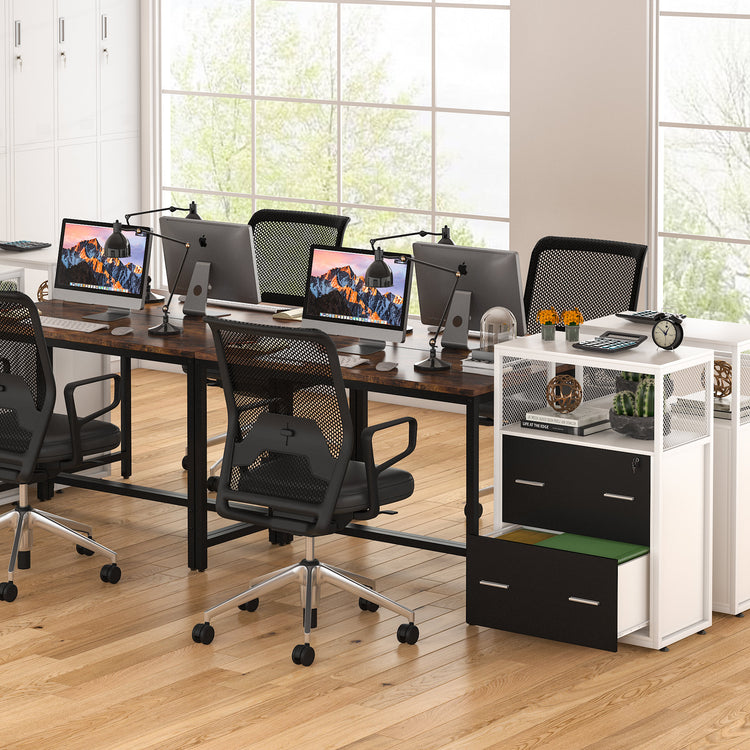 2-Drawer File Cabinet