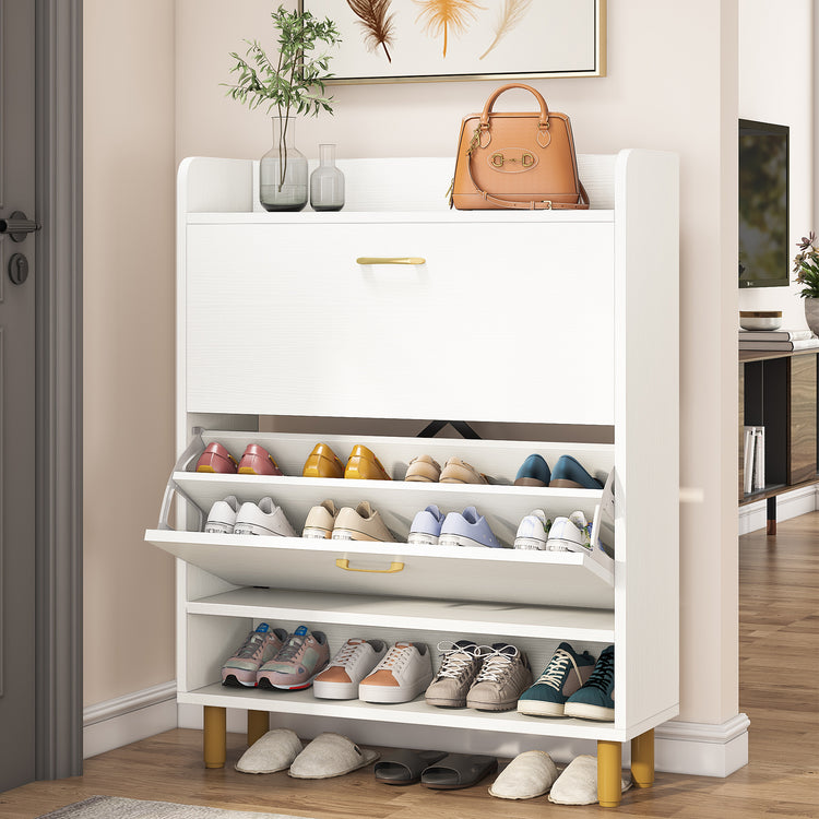 Shoe Cabinet with Flip Doors