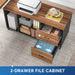 Tribesigns L-Shaped Desk, Executive Computer Desk with Storage Cabinet Tribesigns